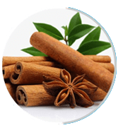 Cinnamomum cassia cinnamon ingredient in Neuro Serge