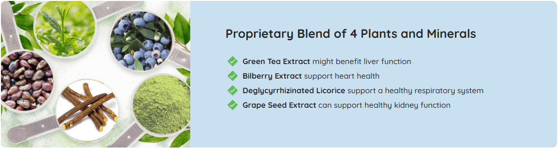 Neuro Serge Ingredients